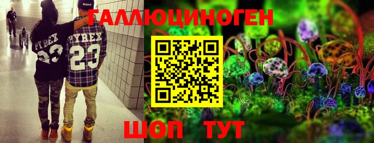 Ялуторовск  сколько стоит  Псилоцибиновые грибы прущие грибы  Вход с VPN  Псилоцибиновые грибы Psilocybe 