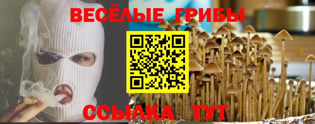Псилоцибиновые грибы ЛСД Ялуторовск